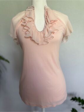 Express Women’s Ruffle V-Neck Top in Blush Pink